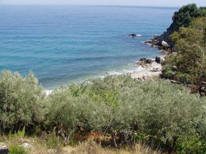 Γωνιακό αγροτεμάχιο με κτίσμα πρώτο θάλασσα Λάρισα Παράλια Καρίτσα Γωνιακό αγροτεμάχιο με κτίσμα πρώτο θάλασσα Λάρισα Παράλια Καρίτσα