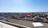      roof garden  